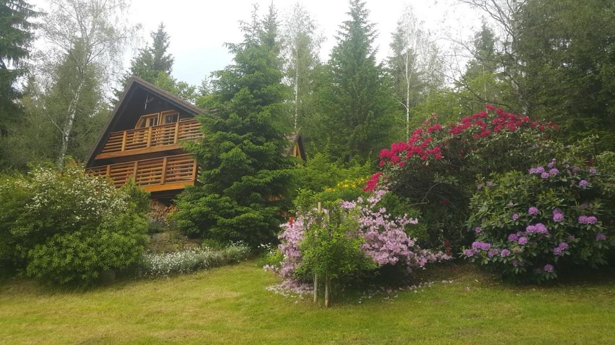 Chalet Bellevue Rogla Зрече Екстер'єр фото